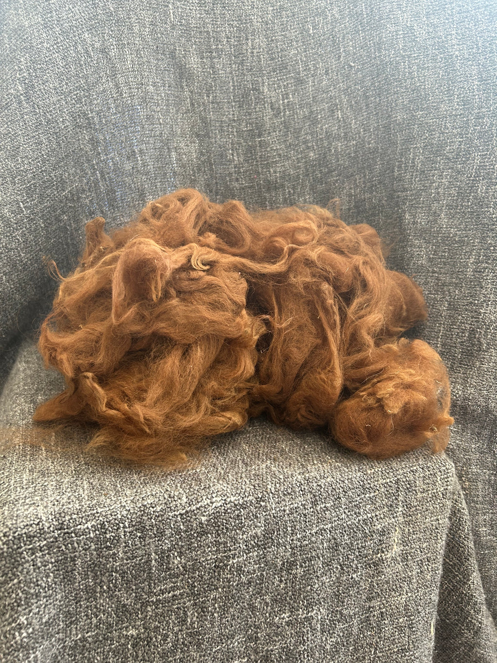 Raw Suri Alpaca Fleece